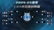 包含达西尔瓦成为球队主帅，施展战术一改冷门的词条
