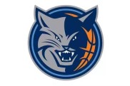 山猫队状态火爆，连胜战绩刷新队史纪录的简单介绍