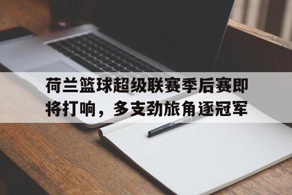 关于荷兰篮球超级联赛季后赛即将打响，多支劲旅角逐冠军的信息